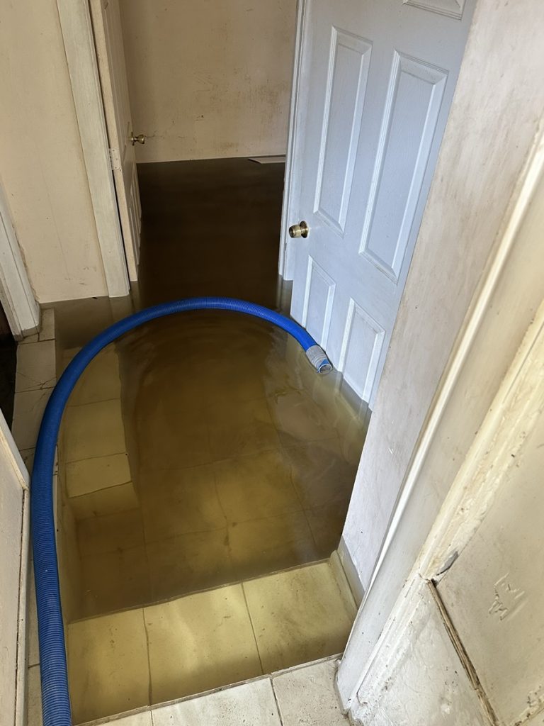 All Star Restoration - Sanitization & Decontamination (4)